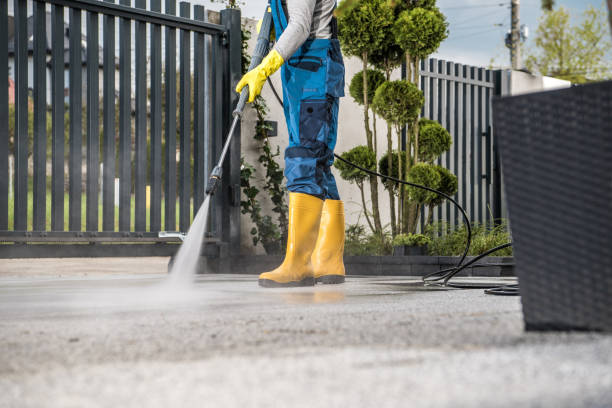 Best Fence Cleaning  in Cactus, TX